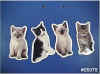 Realistic cat-shaped magnets