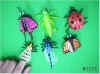 Insect finger puppets